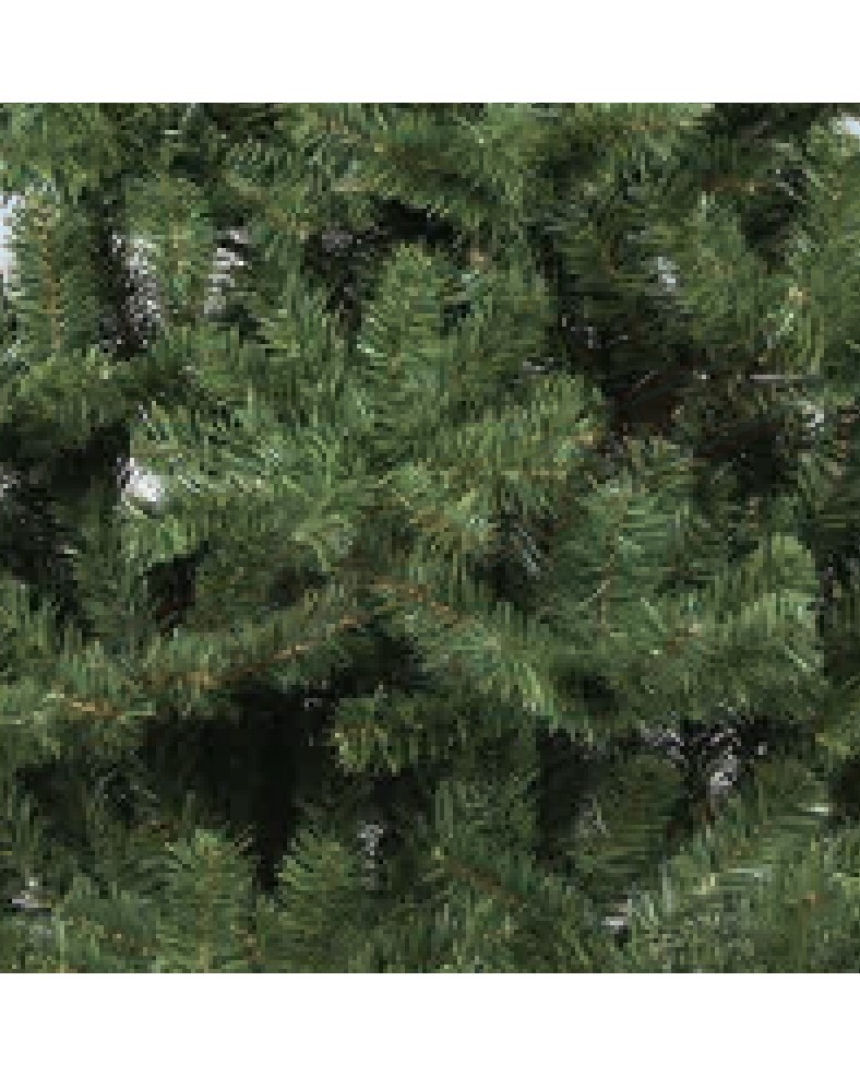 Albero di Natale Etna CM 210 727 rami fasciati al tronco diametro 121 mm