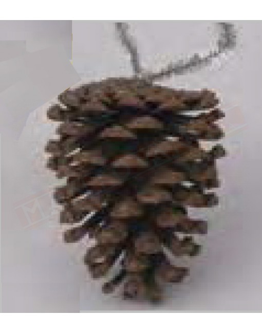 Addobbo per albero di Natale pigna cm 10 circa naturale senza decori